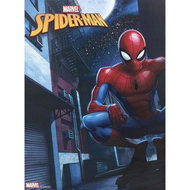 Canvas Marvel 6 57x77 cm