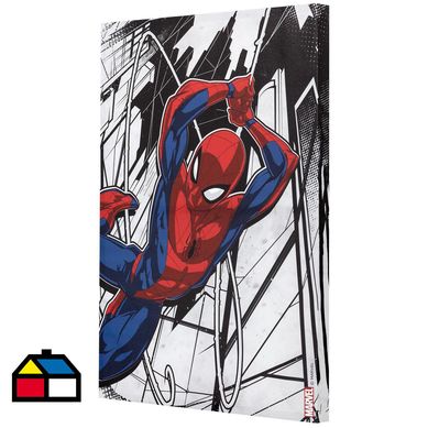 Canvas Marvel 5 57x77 cm.