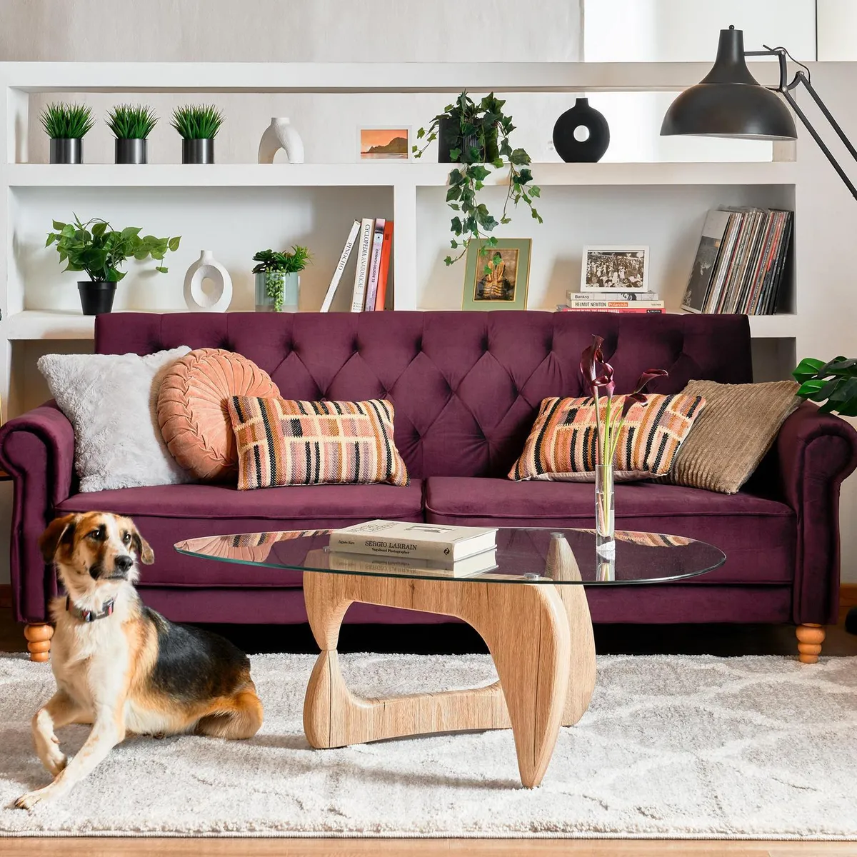 JUST HOME COLLECTION - Alfombra Ivora Shaggy 160x235 cm Polipropileno Beige