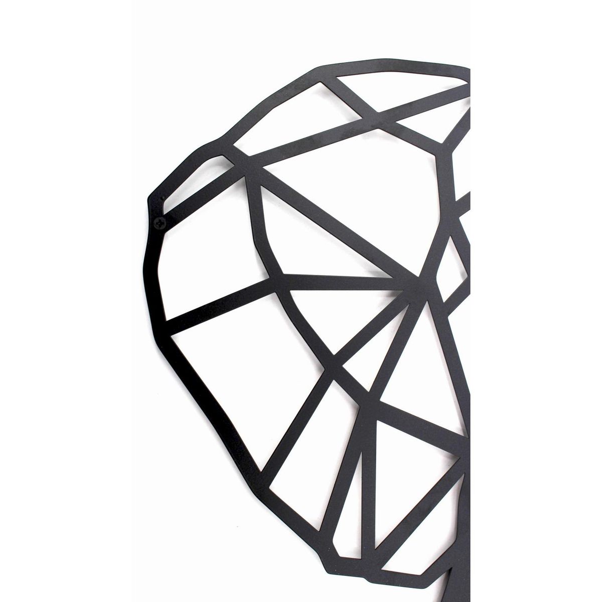 HOMY - Lamina metal trompa 49x50 cm