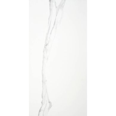 Porcelanato 60x120 cm Duomo Blanco Blanco 1.42 m2