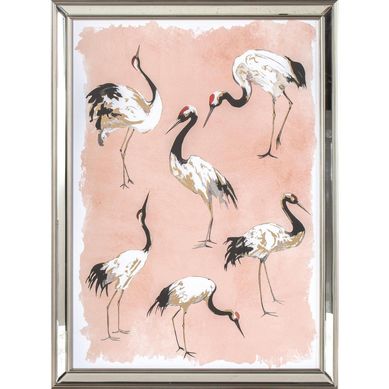 Cuadro swan pink 56x76 cm