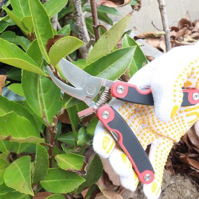 Imagen 2 del producto Tijera jardín multiuso 5 en 1