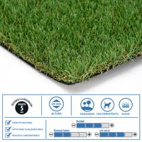 Pasto Sintético 20 mm 2x5 m