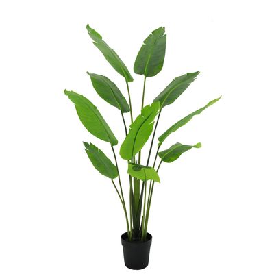 Imagen 2 del producto Planta Artificial Ave del Paraiso 182 cm Verde; Negro