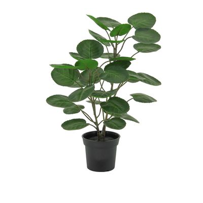 Imagen 2 del producto Planta Artificial Polysc 59 cm Verde