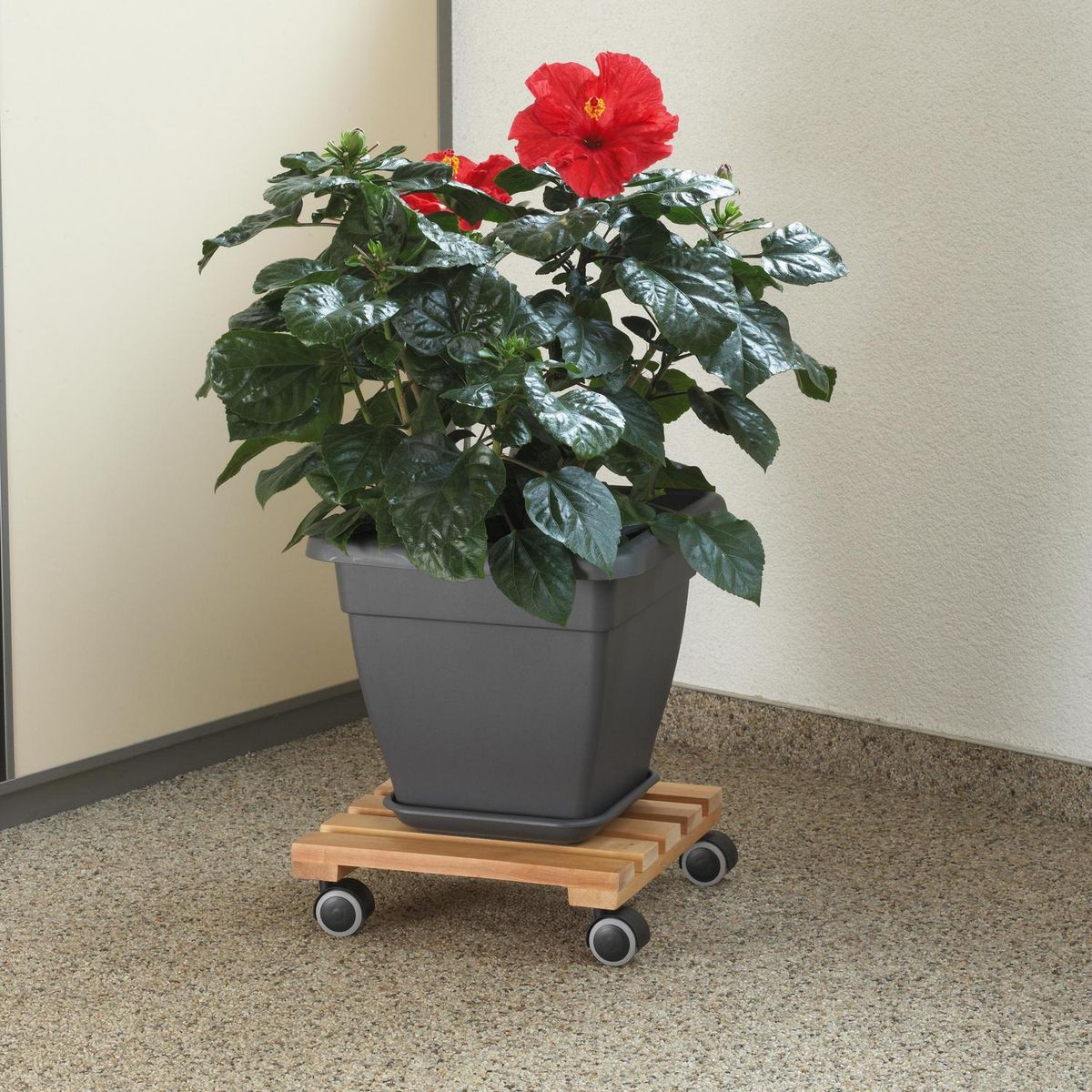 FIXSER - Rueda giratoria tpe 40kg