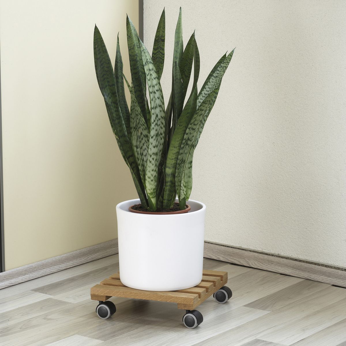 FIXSER - Rueda giratoria con freno tope 30kg