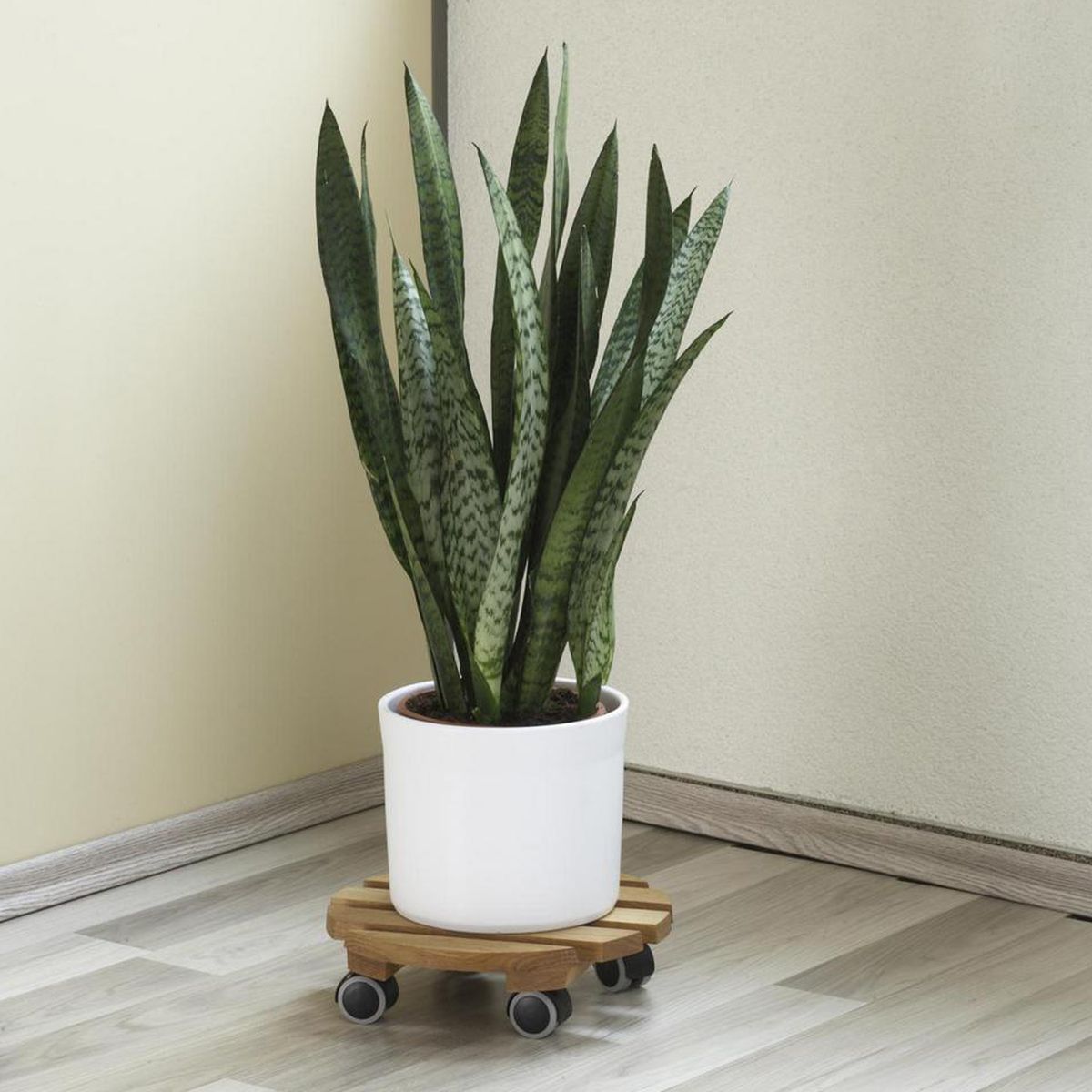 FIXSER - Rueda giratoria con freno tope 40kg