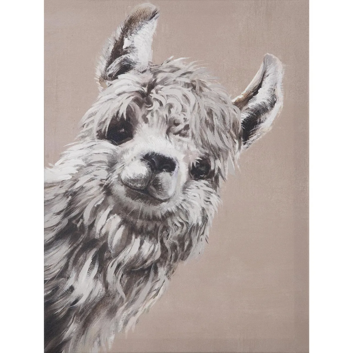 HOMY - Canvas Llama Mira 30x40 cm