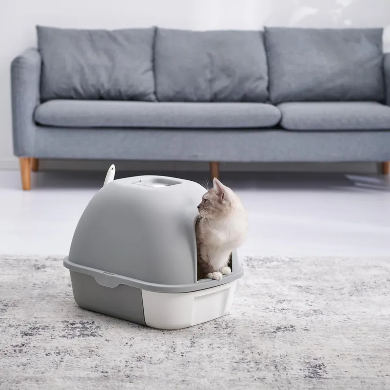 Muebles Arenero Para NiÃ±os Ikea Arenero Para Gato Con Puerta