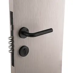 FIXSER - Cerradura embutida Cerradura de acceso Manilla Embutida Negro
