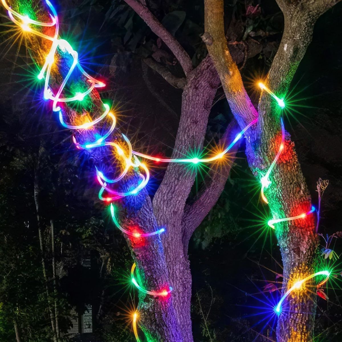 DEAR SANTA - Led solar manguera 10m