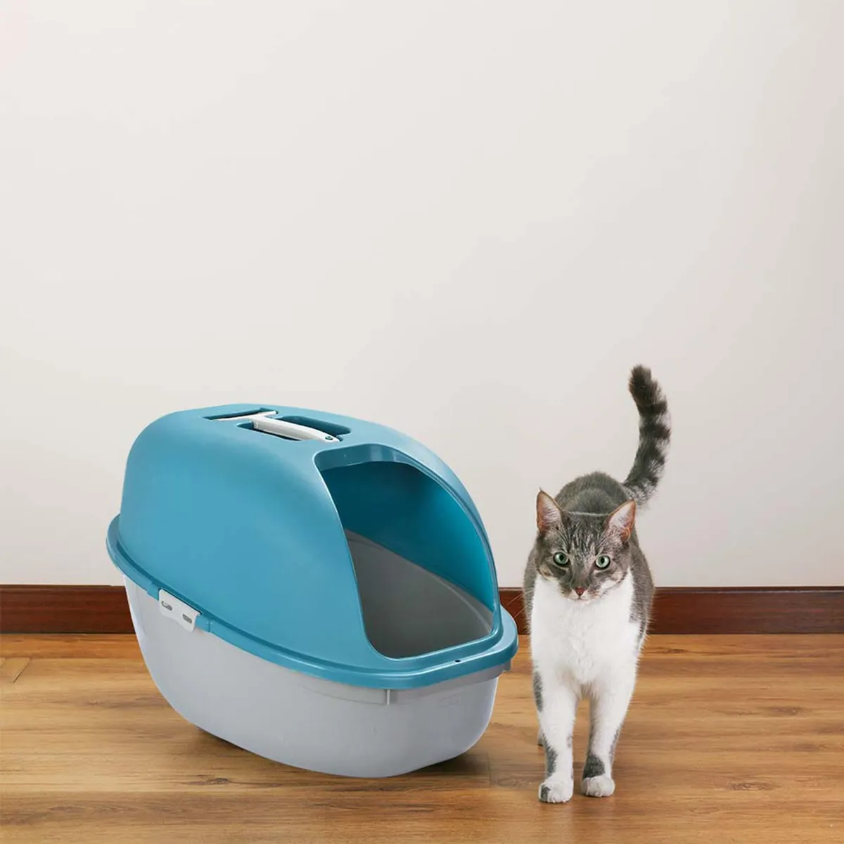 RIMAX - Arenero para gatos ecológico con pala