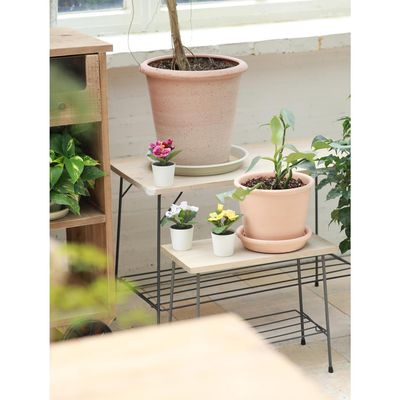 Imagen 2 del producto Set 3 Plantas Artificiales con Flor 12 cm Verde