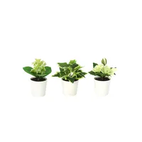Set 3 Plantas Artificiales 13 cm Verde