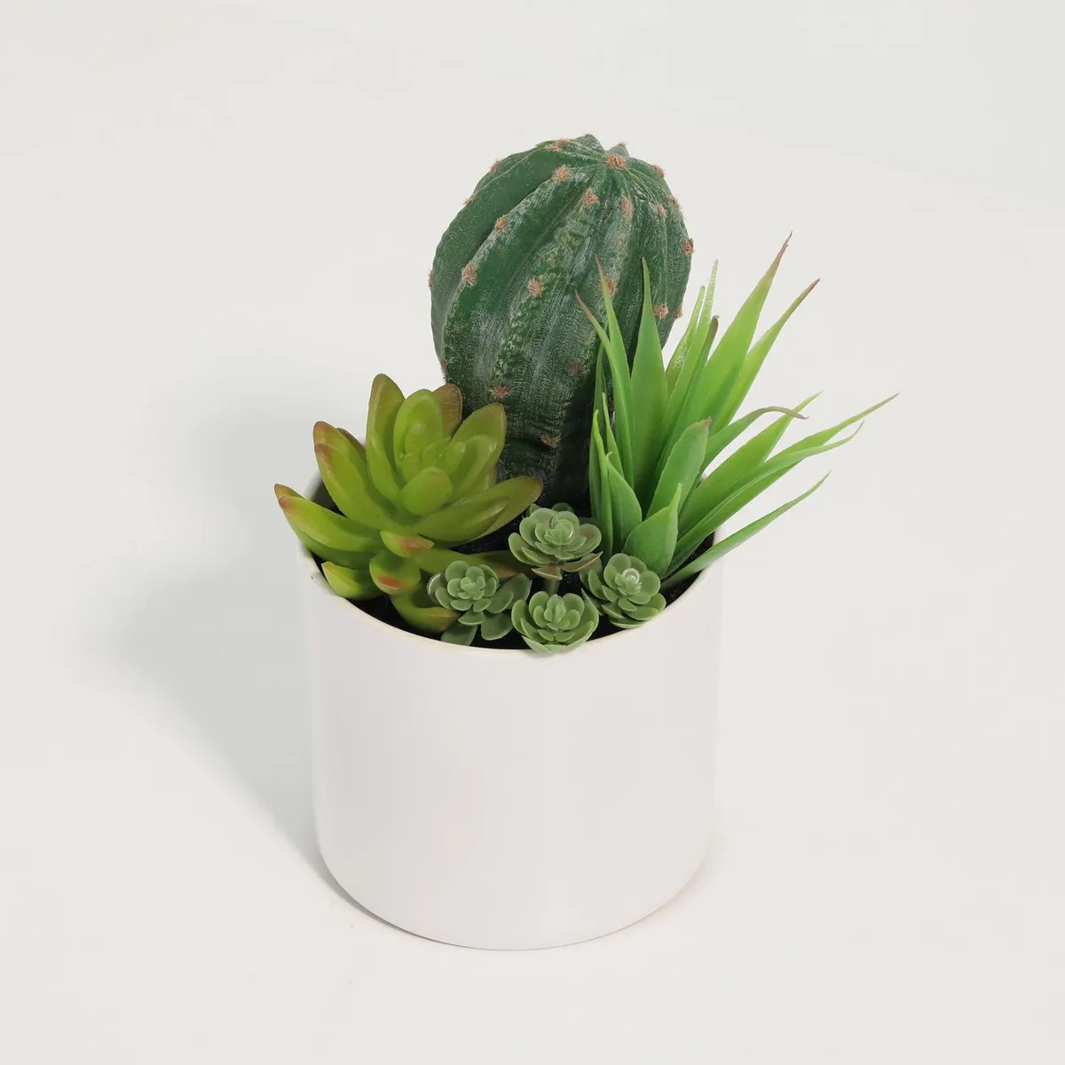JUST HOME COLLECTION - Cactus Artificial 18 cm Verde
