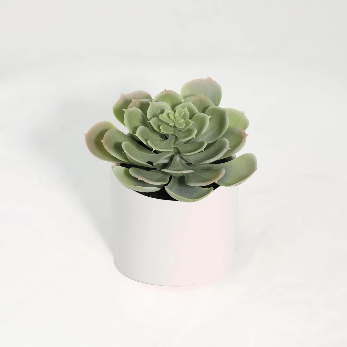 JUST HOME COLLECTION - Suculenta Artificial 18 cm Verde