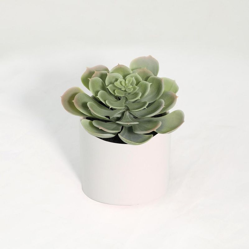 JUST HOME COLLECTION - Suculenta artificial 18 cm