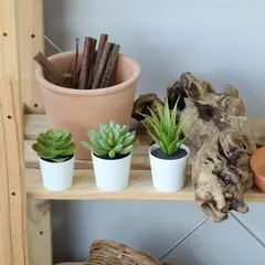 JUST HOME COLLECTION - Set 2 Suculentas Artificiales 14 cm Verde