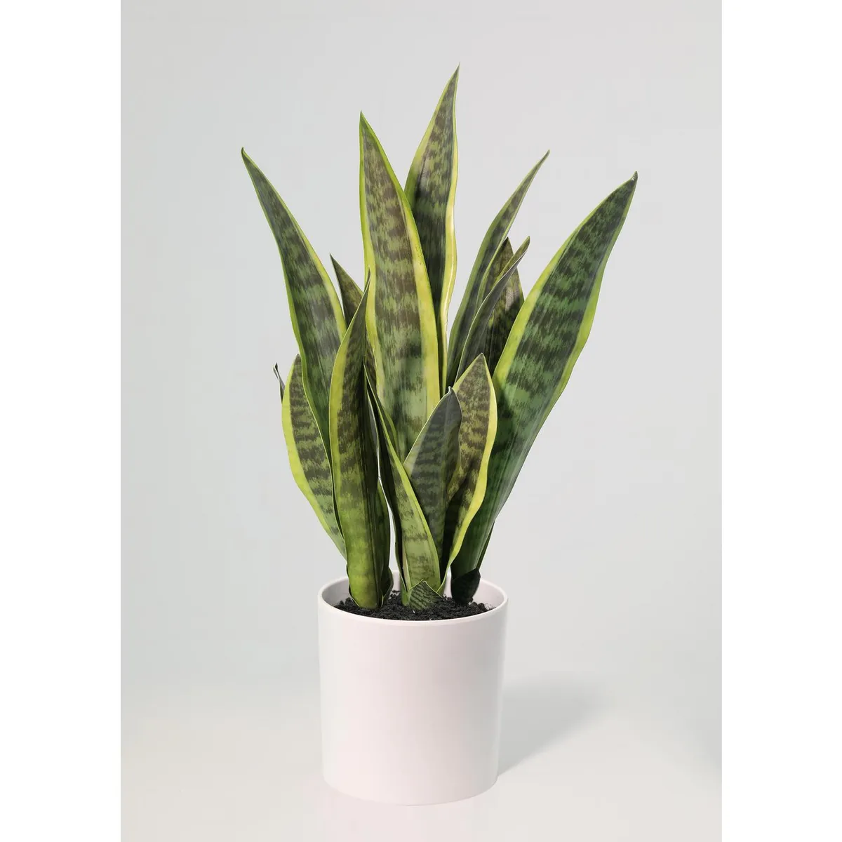 JUST HOME COLLECTION - Planta Artificial Sansevieria 70 cm Verde