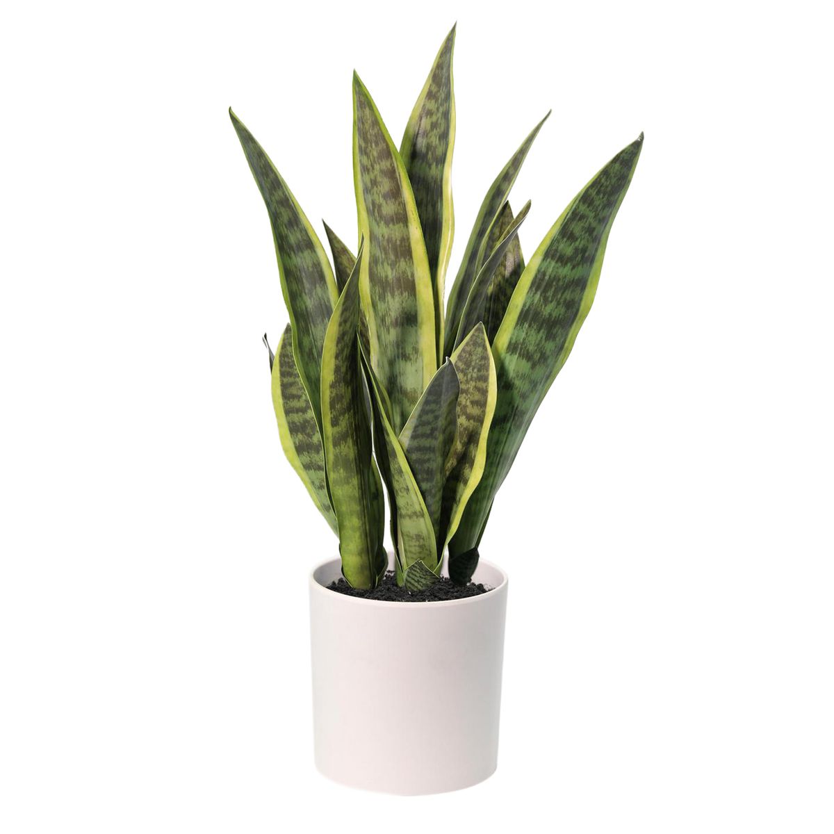 Planta Artificial Sansevieria 70 cm Verde, marca JUST HOME COLLECTION - Foto Principal