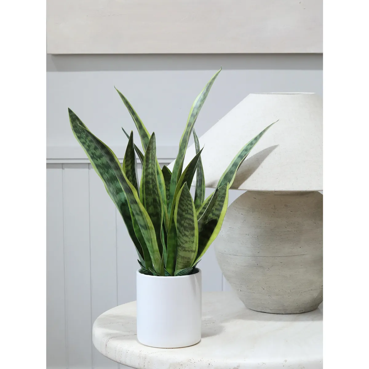 JUST HOME COLLECTION - Planta Artificial Sansevieria 70 cm Verde