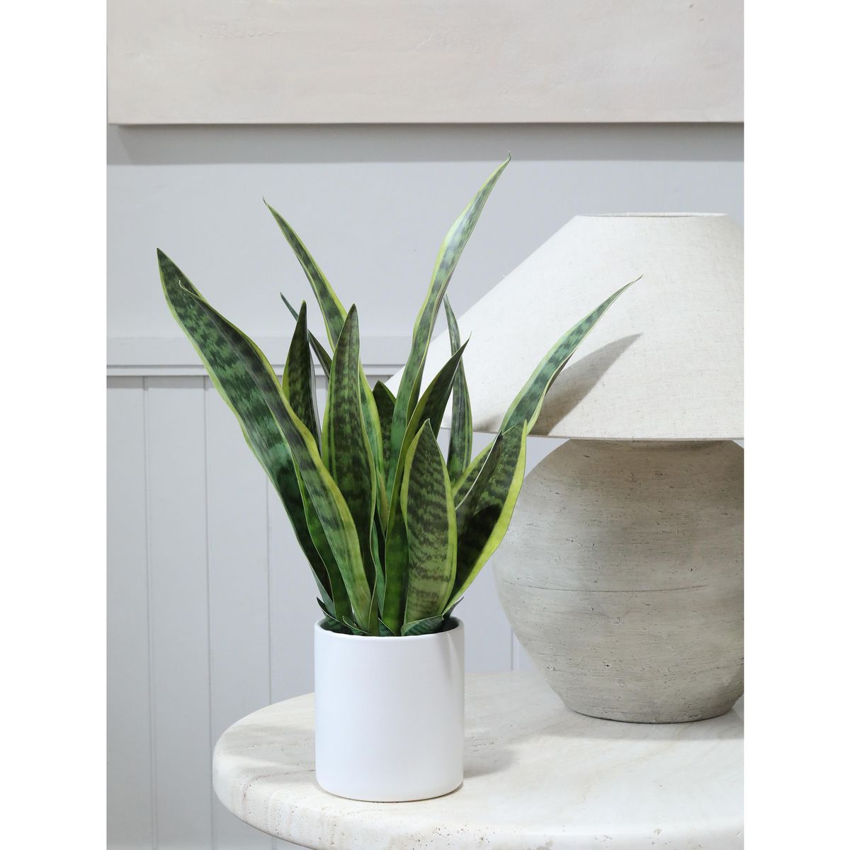 JUST HOME COLLECTION - Planta Artificial Sansevieria 70 cm Verde