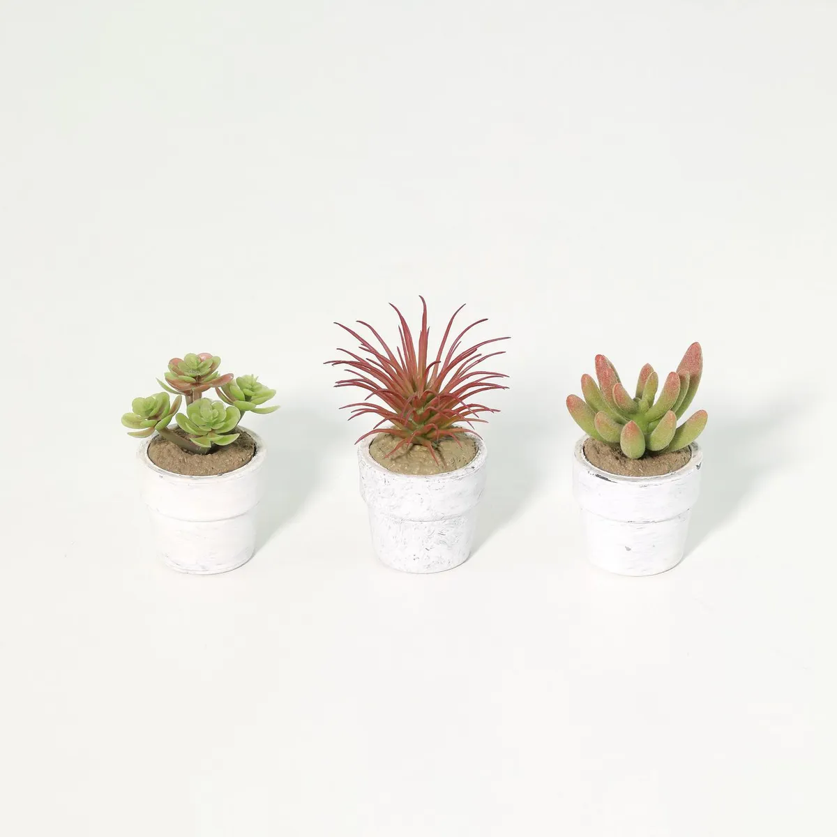 JUST HOME COLLECTION - Set 3 Suculentas Artificiales 7 cm Verde