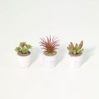 Set 3 Suculentas Artificiales 7 cm Verde