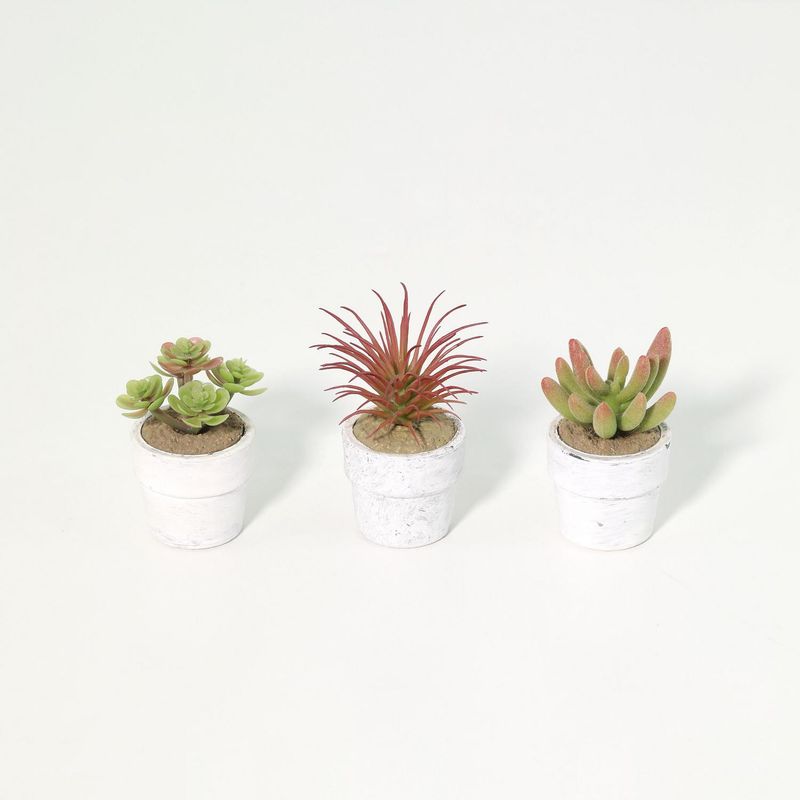 JUST HOME COLLECTION - Set 3 Suculentas Artificiales 7 cm Verde