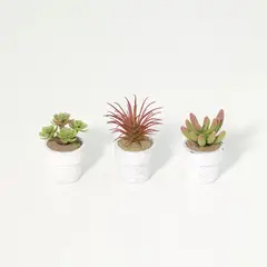 JUST HOME COLLECTION - Set 3 Suculentas Artificiales 7 cm Verde