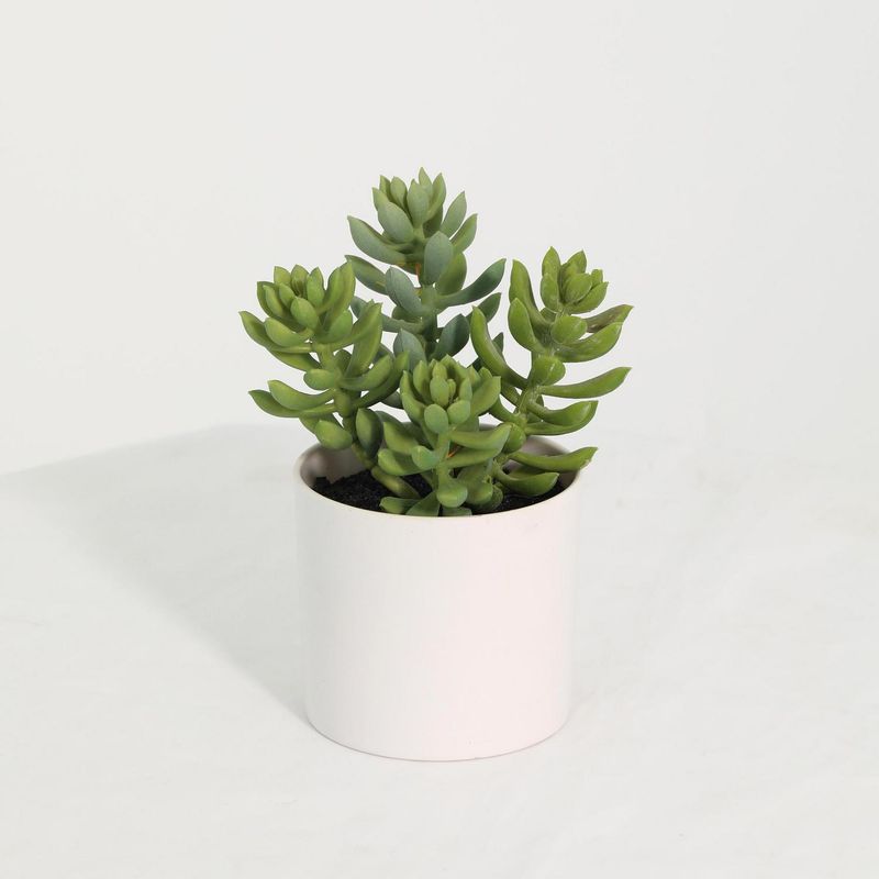 JUST HOME COLLECTION - Suculenta artificial 20 cm