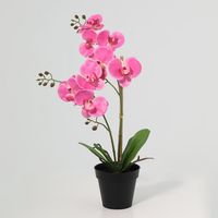 Planta Artificial Orquídea 48 cm Rosa