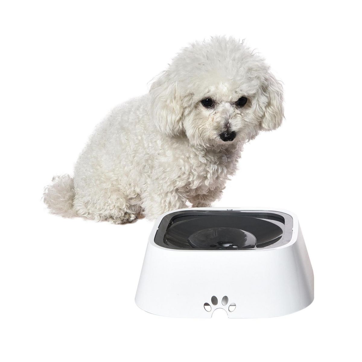 PETIZOOS - Bebedero antiderrame perro y gato