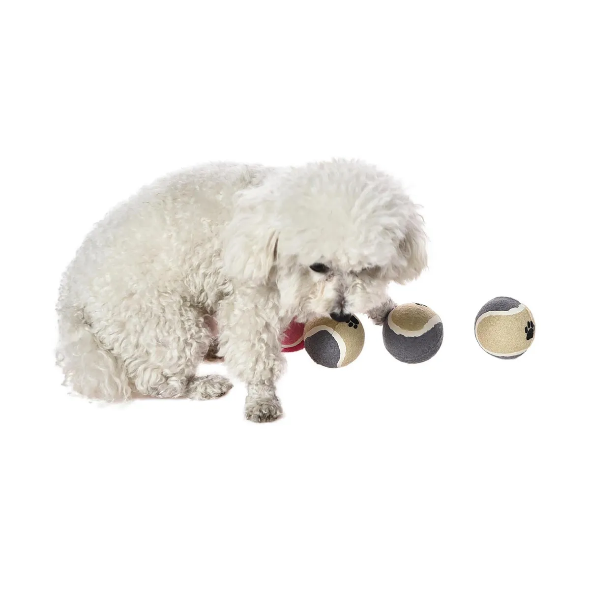 PETIZOOS - Set 6 pelotas tenis para perro