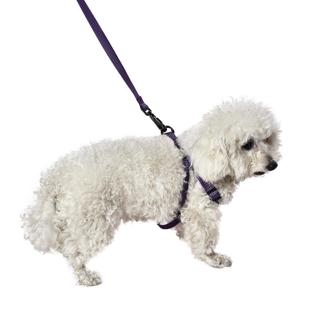 PETIZOOS - Set arnes + correa para perro, talla M