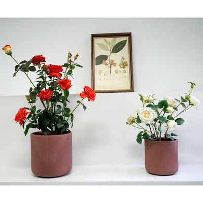 Imagen 2 del producto Set 2 tamaños de maceteros color terracota