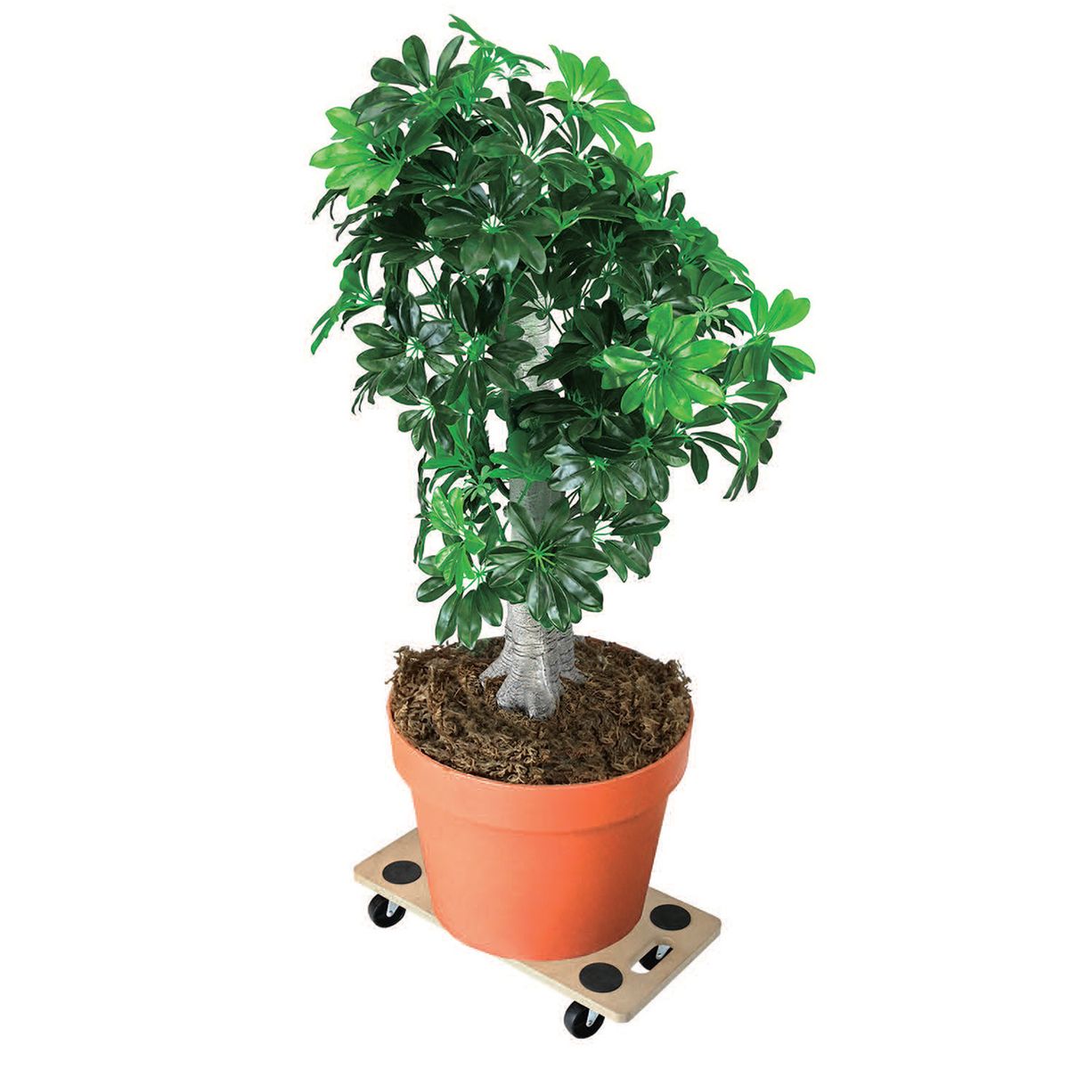 BAUKER - Plataforma carga 200 kg