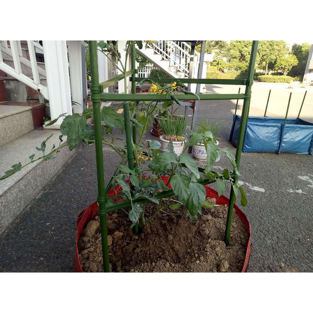 ERGO - Set Tutores Jaula para Tomates