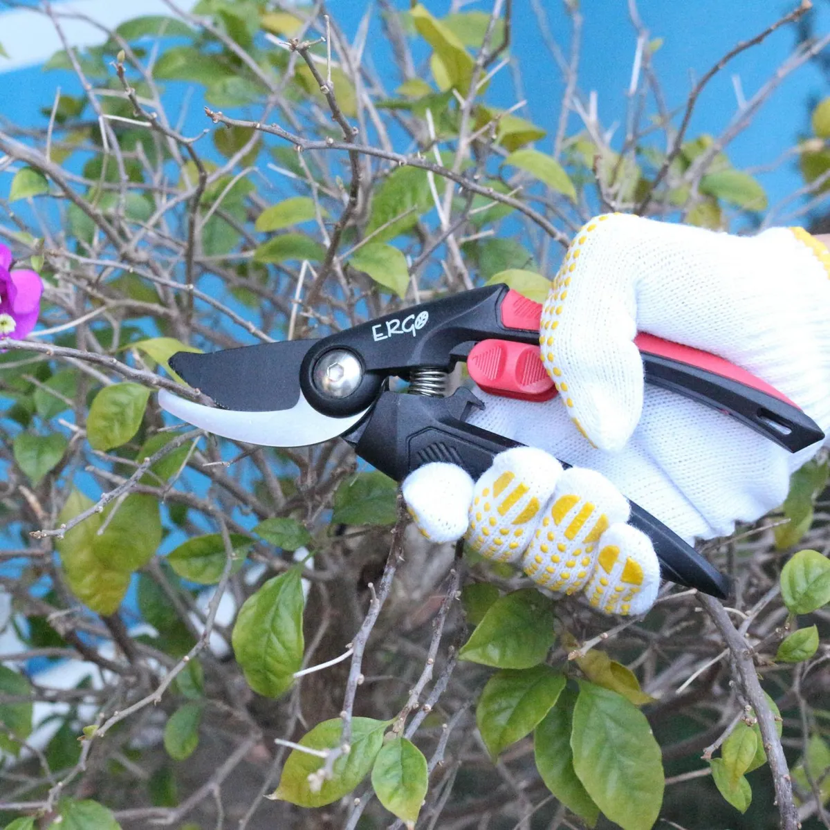 ERGO - Juego de 2 tijeras de poda