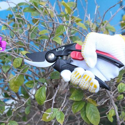 Imagen 2 del producto Juego De 2 Tijeras Poda Manual Nómicas Para Jardín