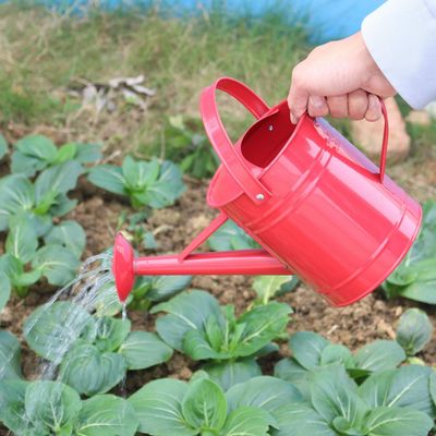 Imagen 2 del producto Regadera Metálica Para Jardín 2 Litros Nómica