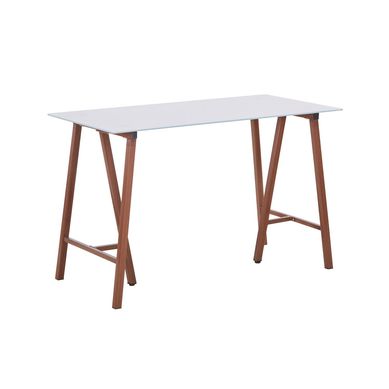 Escritorio Salanoa 120x60x76 cm