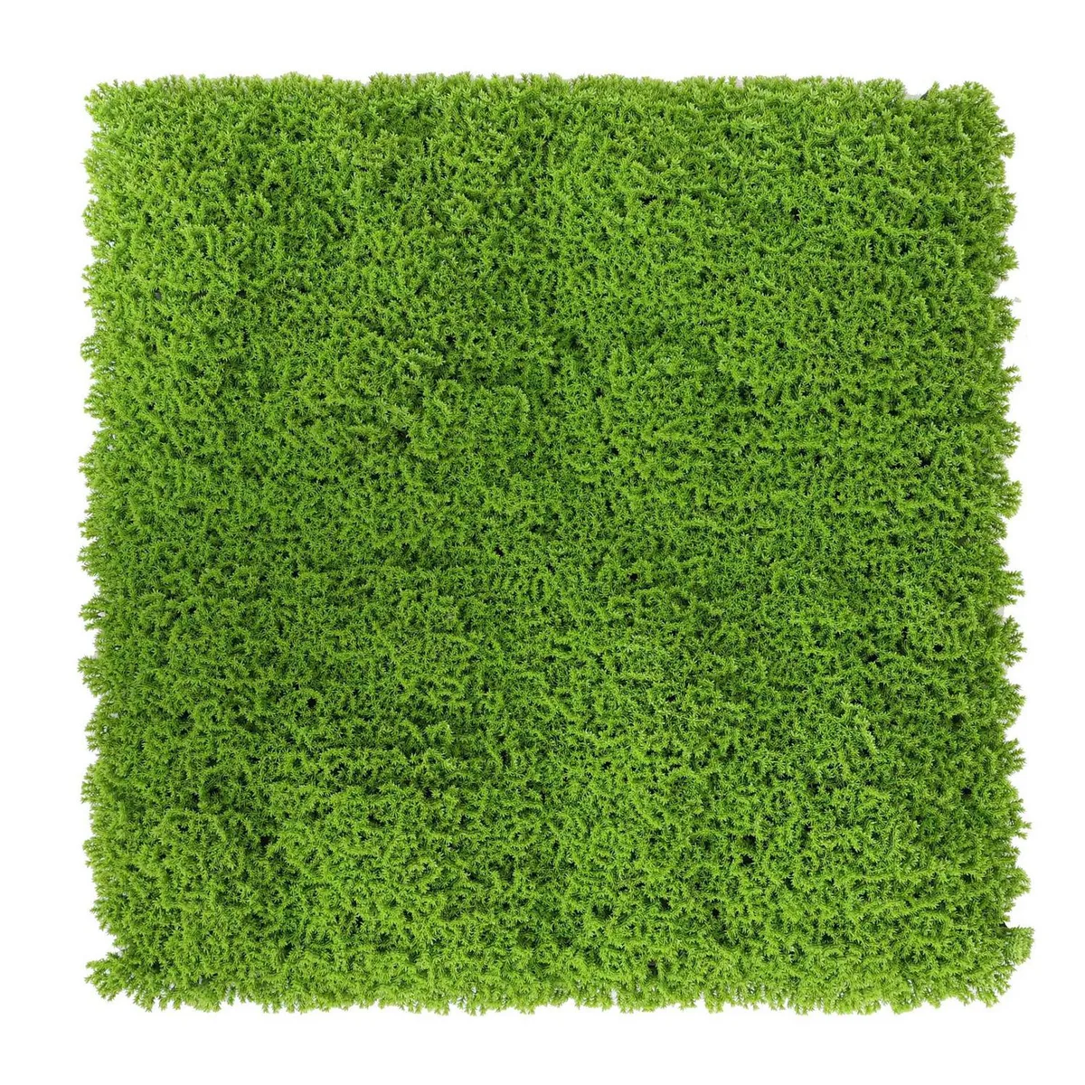 JUST HOME COLLECTION - Jardín vertical musgo 50x50cm