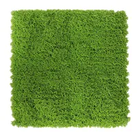 Jardín vertical musgo 50x50cm