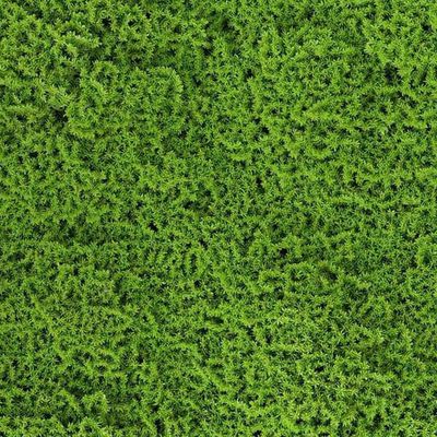 Imagen 2 del producto Jardín vertical musgo 50x50cm