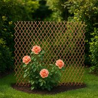 Enrejado Extensible 100X200 Cm Jardín Delimitador Espacios