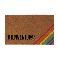 Limpiapies Rainbow 45x75 cm PVC Multicolor