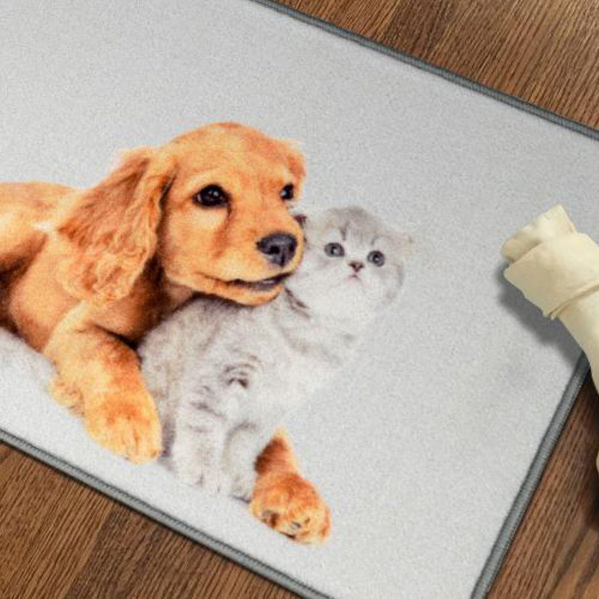 CASA BONITA - Limpiapiés Perro Gato 50x80 cm Multicolor